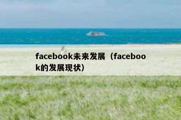 facebook未来发展（facebook的发展现状） 第1张
