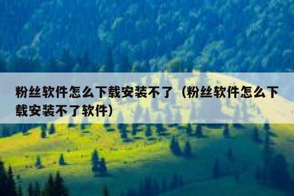 粉丝软件怎么下载安装不了（粉丝软件怎么下载安装不了软件） 第1张
