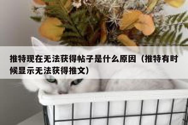 推特现在无法获得帖子是什么原因（推特有时候显示无法获得推文） 第1张