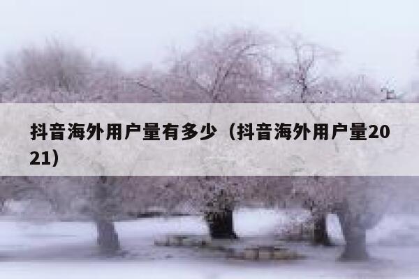 抖音海外用户量有多少（抖音海外用户量2021） 第1张