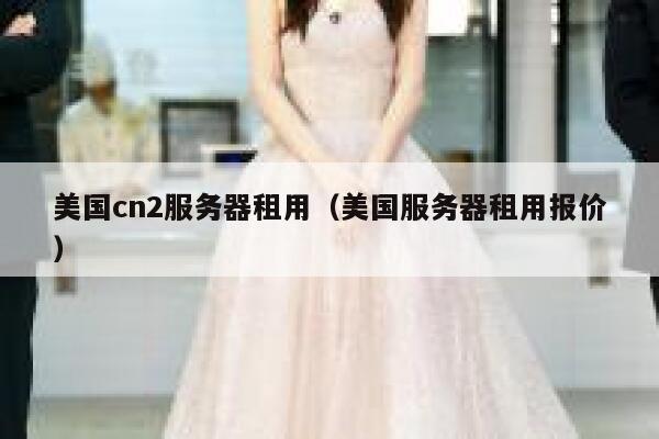 美国cn2服务器租用（美国服务器租用报价） 第1张