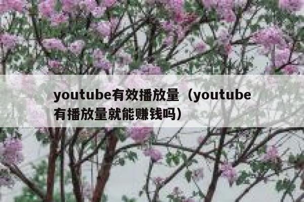 youtube有效播放量（youtube有播放量就能赚钱吗） 第1张