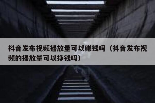 抖音发布视频播放量可以赚钱吗（抖音发布视频的播放量可以挣钱吗） 第1张
