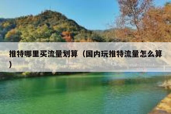 推特哪里买流量划算（国内玩推特流量怎么算） 第1张