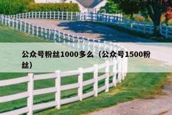 公众号粉丝1000多么（公众号1500粉丝） 第1张