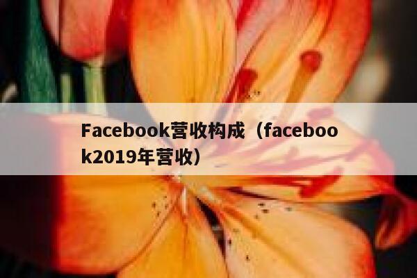 Facebook营收构成（facebook2019年营收） 第1张