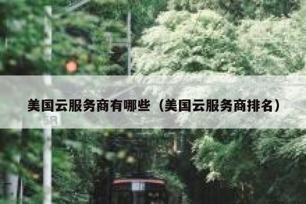 美国云服务商有哪些（美国云服务商排名） 第1张