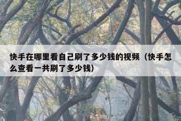 快手在哪里看自己刷了多少钱的视频（快手怎么查看一共刷了多少钱） 第1张