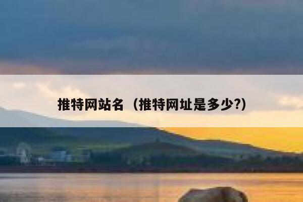 推特网站名（推特网址是多少?） 第1张