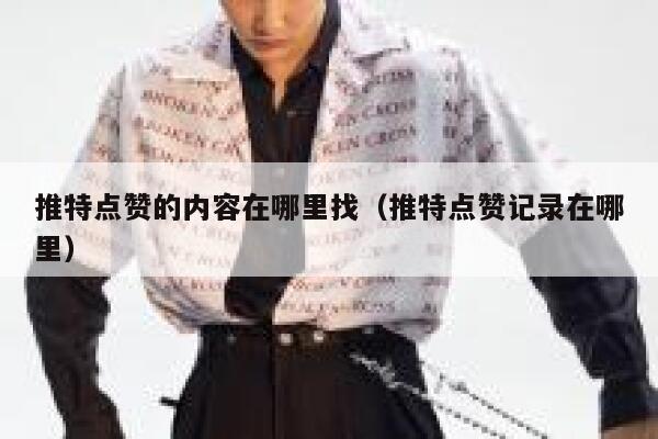 推特点赞的内容在哪里找（推特点赞记录在哪里） 第1张