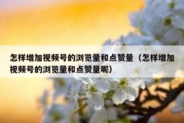 怎样增加视频号的浏览量和点赞量（怎样增加视频号的浏览量和点赞量呢） 第1张