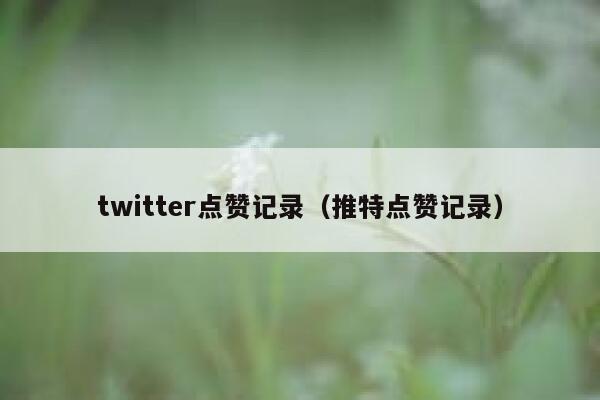 twitter点赞记录（推特点赞记录） 第1张