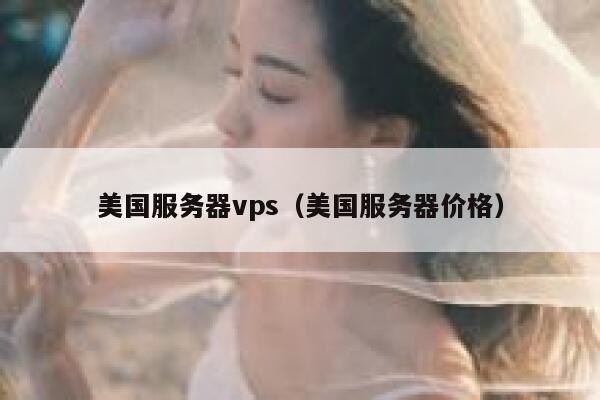 美国服务器vps（美国服务器价格） 第1张