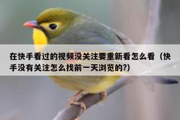 在快手看过的视频没关注要重新看怎么看（快手没有关注怎么找前一天浏览的?） 第1张