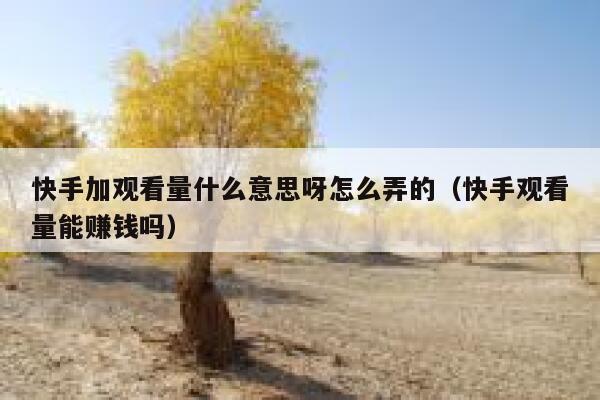 快手加观看量什么意思呀怎么弄的（快手观看量能赚钱吗） 第1张