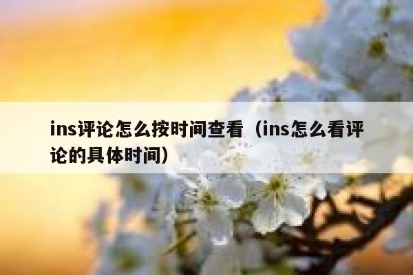 ins评论怎么按时间查看（ins怎么看评论的具体时间） 第1张