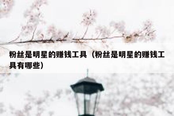 粉丝是明星的赚钱工具（粉丝是明星的赚钱工具有哪些） 第1张