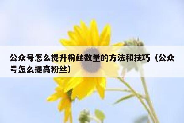 公众号怎么提升粉丝数量的方法和技巧（公众号怎么提高粉丝） 第1张