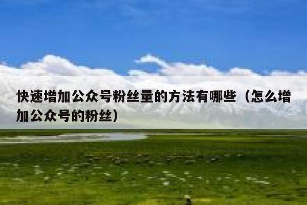 快速增加公众号粉丝量的方法有哪些（怎么增加公众号的粉丝） 第1张