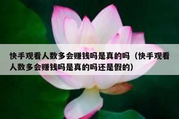 快手观看人数多会赚钱吗是真的吗（快手观看人数多会赚钱吗是真的吗还是假的） 第1张