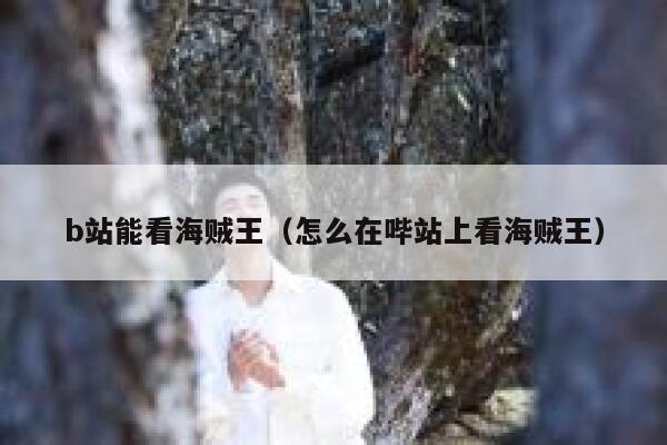 b站能看海贼王（怎么在哔站上看海贼王） 第1张