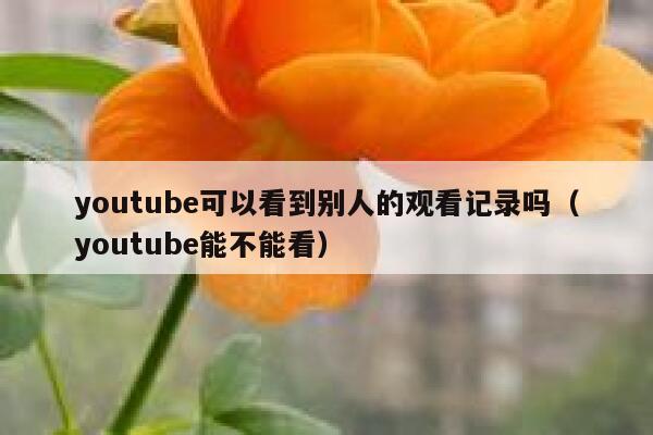 youtube可以看到别人的观看记录吗（youtube能不能看） 第1张