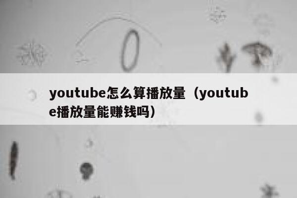 youtube怎么算播放量（youtube播放量能赚钱吗） 第1张