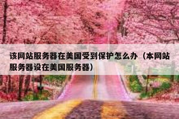 该网站服务器在美国受到保护怎么办（本网站服务器设在美国服务器） 第1张