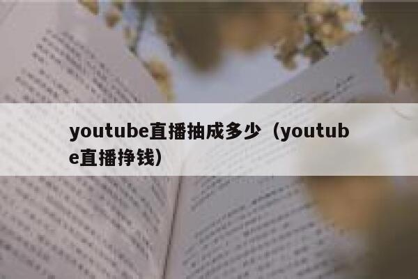 youtube直播抽成多少（youtube直播挣钱） 第1张