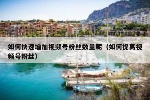 如何快速增加视频号粉丝数量呢（如何提高视频号粉丝） 第1张