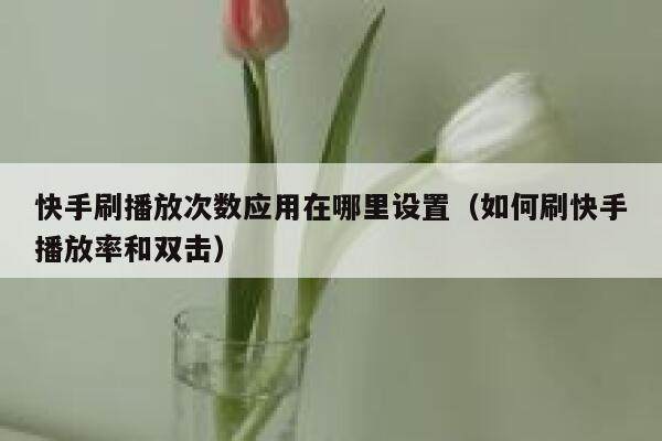 快手刷播放次数应用在哪里设置(如何刷快手播放率和双击) 第1张 快手刷播放次数应用在哪里设置(如何刷快手播放率和双击) 第1张
