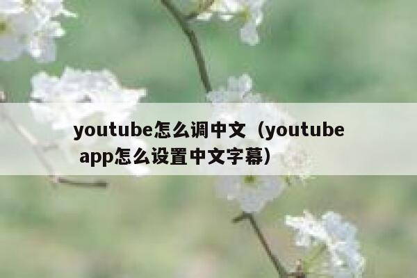youtube怎么调中文（youtube app怎么设置中文字幕） 第1张