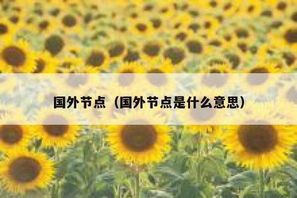 国外节点（国外节点是什么意思） 第1张