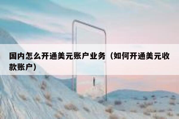国内怎么开通美元账户业务(如何开通美元收款账户) 第1张 国内怎么开通美元账户业务(如何开通美元收款账户) 第1张