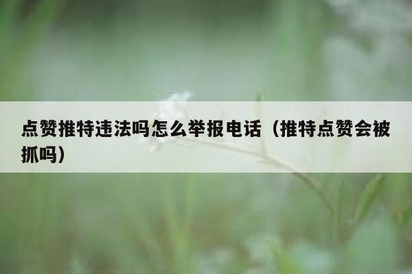 点赞推特违法吗怎么举报电话（推特点赞会被抓吗） 第1张
