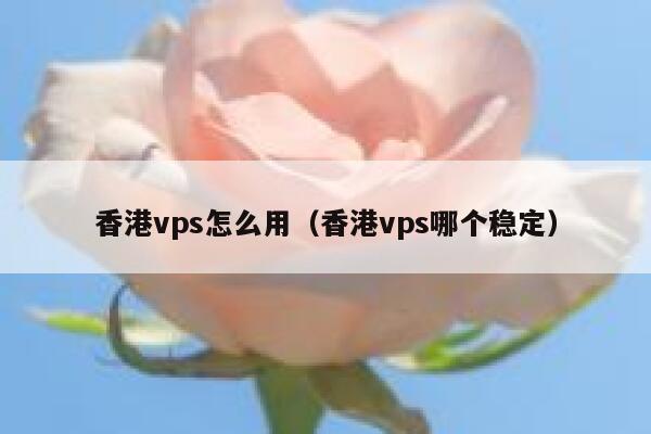 香港vps怎么用（香港vps哪个稳定） 第1张