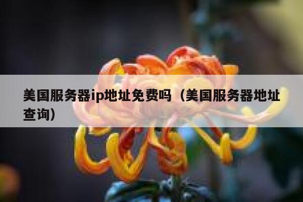 美国服务器ip地址免费吗（美国服务器地址查询） 第1张
