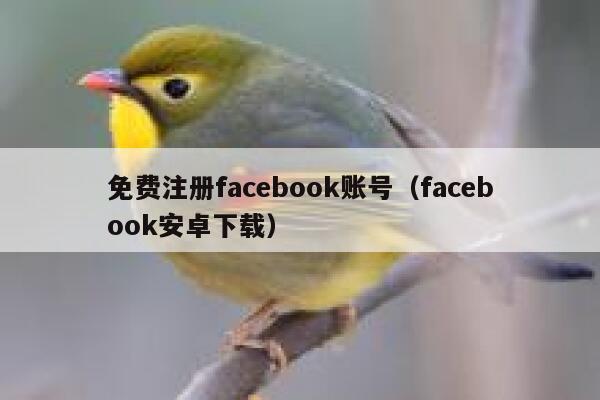 免费注册facebook账号（facebook安卓下载） 第1张