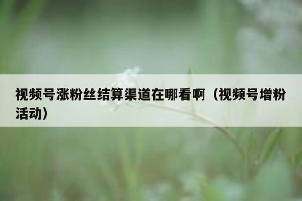 视频号涨粉丝结算渠道在哪看啊(视频号增粉活动) 第1张 视频号涨粉丝结算渠道在哪看啊(视频号增粉活动) 第1张