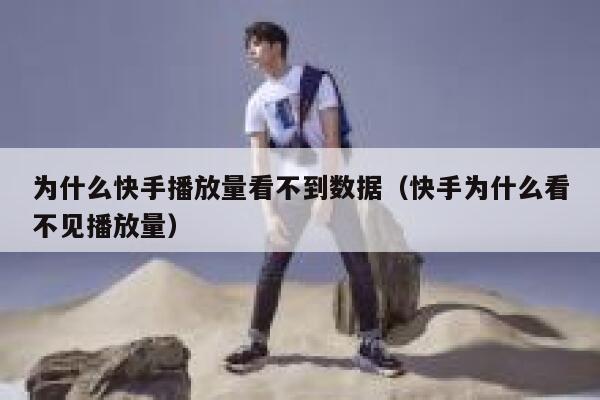 为什么快手播放量看不到数据(快手为什么看不见播放量) 第1张 为什么快手播放量看不到数据(快手为什么看不见播放量) 第1张