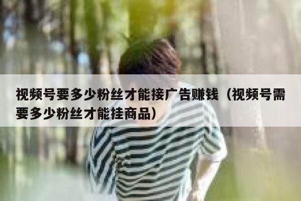 视频号要多少粉丝才能接广告赚钱（视频号需要多少粉丝才能挂商品） 第1张