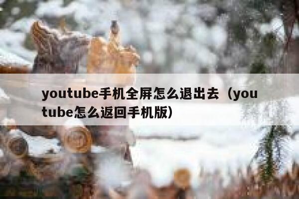 youtube手机全屏怎么退出去（youtube怎么返回手机版） 第1张