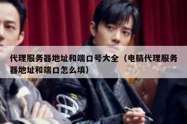 代理服务器地址和端口号大全（电脑代理服务器地址和端口怎么填） 第1张