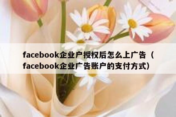 facebook企业户授权后怎么上广告（facebook企业广告账户的支付方式） 第1张