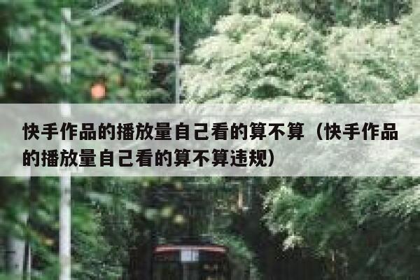 快手作品的播放量自己看的算不算(快手作品的播放量自己看的算不算违规) 第1张 快手作品的播放量自己看的算不算(快手作品的播放量自己看的算不算违规) 第1张