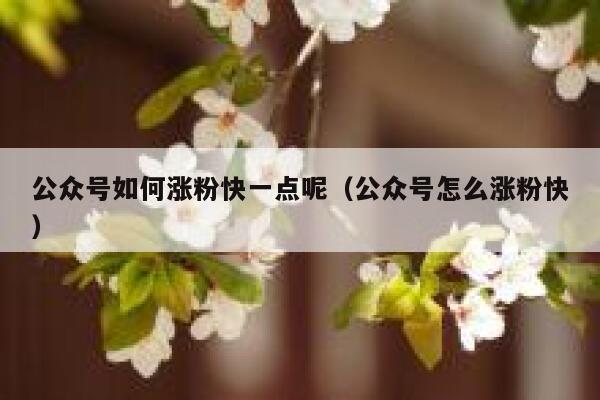公众号如何涨粉快一点呢（公众号怎么涨粉快） 第1张