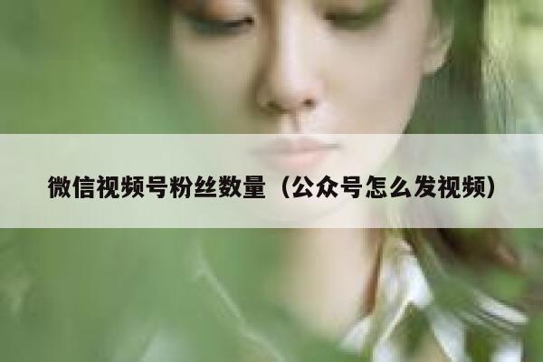 微信视频号粉丝数量（公众号怎么发视频） 第1张