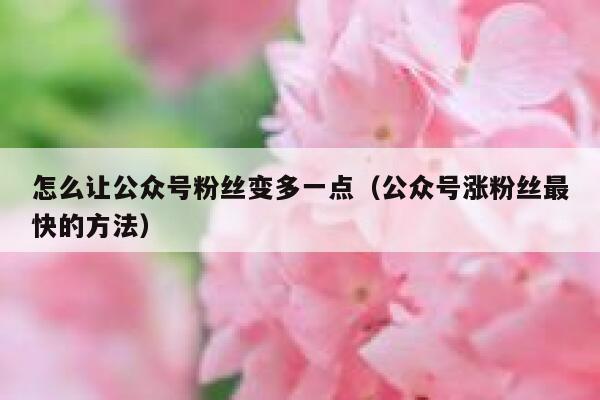 怎么让公众号粉丝变多一点（公众号涨粉丝最快的方法） 第1张