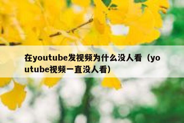 在youtube发视频为什么没人看（youtube视频一直没人看） 第1张