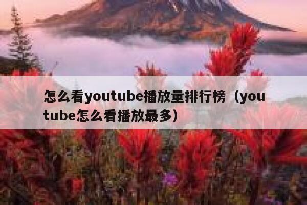 怎么看youtube播放量排行榜(youtube怎么看播放最多) 第1张 怎么看youtube播放量排行榜(youtube怎么看播放最多) 第1张